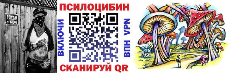 где купить   Новороссийск  Галлюциногенные грибы Magic Shrooms 