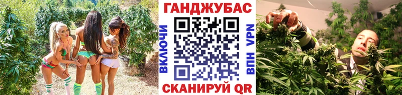 Шишки марихуана гибрид  Новороссийск 